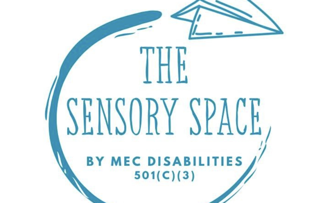 MEC Disabilities