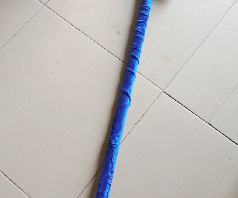 Guided Feeding Stick